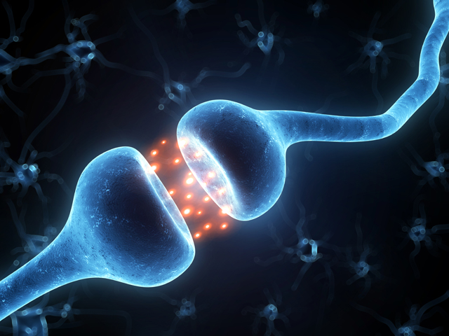 FORTALECE TU NEUROPLASTICIDAD